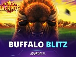 Buffalo Blitz icon
